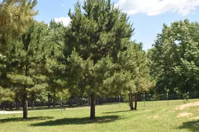 134 County Road 2749, Mineola, TX 75773 - Photo 36