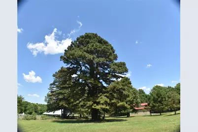 134 County Road 2749, Mineola, TX 75773 - Photo 38