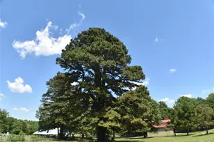 134 Co Rd 2749, Mineola, TX 75773 - Photo 38
