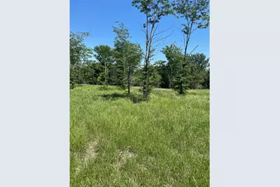 896 Blue Bird, Dodd City, TX 75438 - Photo 2
