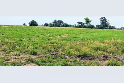 35 Ac Fm 1512, Donie, TX 75838 - Photo 14