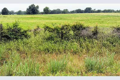 35 Ac Fm 1512, Donie, TX 75838 - Photo 4