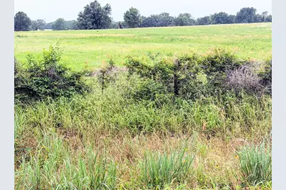 35 Ac Fm 1512, Donie, TX 75838 - Photo 22
