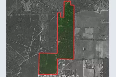 000 Private Road 7832, Hawkins, TX 75765 - Photo 1