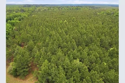 000 Private Road 7832, Hawkins, TX 75765 - Photo 20
