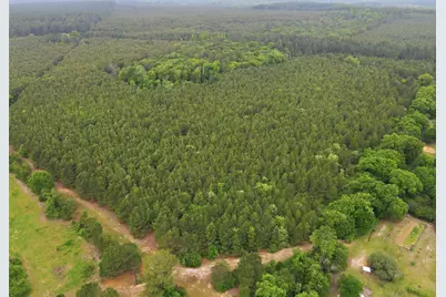 000 Private Road 7832, Hawkins, TX 75765 - Photo 16