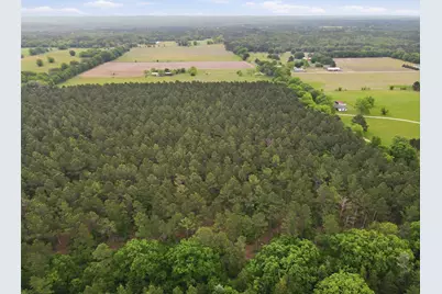000 Private Road 7832, Hawkins, TX 75765 - Photo 12
