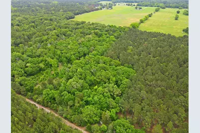 000 Private Road 7832, Hawkins, TX 75765 - Photo 10