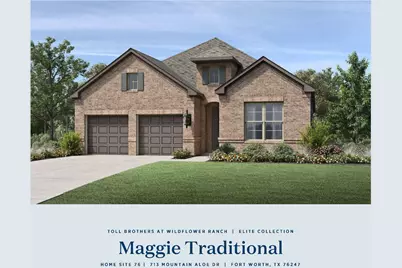 713 Mountain Aloe Drive, Fort Worth, TX 76247 - Photo 1