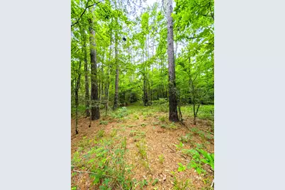 1931 County Road 4101, Jacksonville, TX 75766 - Photo 4