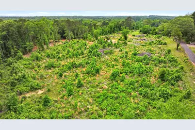 4249 Sh 42, Kilgore, TX 75662 - Photo 4