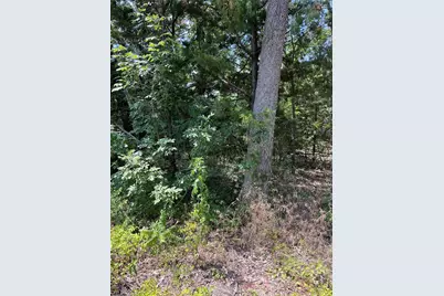 106 Red Bluff Loop, Mabank, TX 75156 - Photo 2