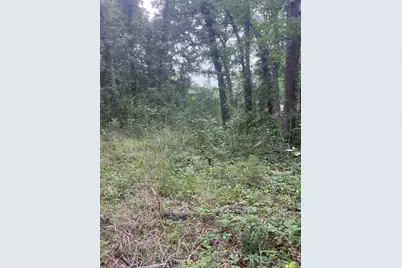 106 Red Bluff Loop, Mabank, TX 75156 - Photo 2