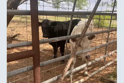 2548 County Road 2690, Alvord, TX 76225 - Photo 18