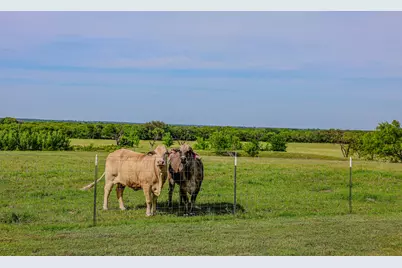 6416 County Road 146, Lipan, TX 76462 - Photo 22