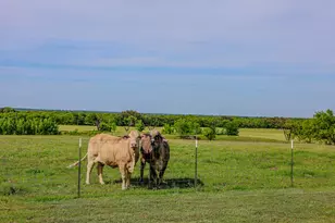 6416 Co Rd 146, Lipan, TX 76462 - Photo 22