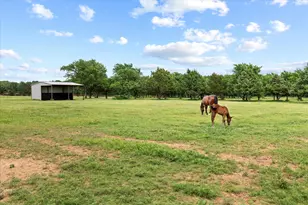 10701 Osburn Rd, Pilot Point, TX 76258 - Photo 28