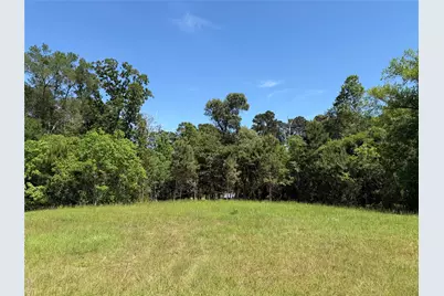 0000 County Road 3202, Chandler, TX 75758 - Photo 8
