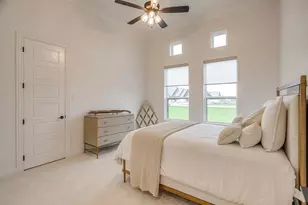 473 Royal Santana Run, Weatherford, TX 76087 - Photo 24
