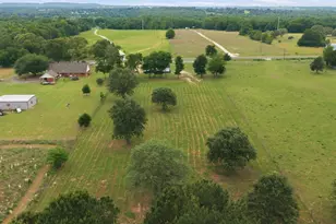 11219 Fm 317, Murchison, TX 75778 - Photo 16