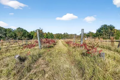 1603 Vz County Road 2908, Eustace, TX 75124 - Photo 18