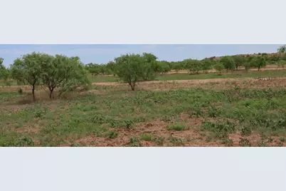 13558 County Road 440, Merkel, TX 79536 - Photo 8