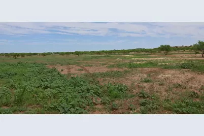 13558 A County Road 440, Merkel, TX 79536 - Photo 6