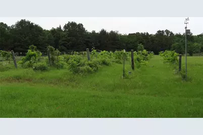 1603 Vz Cr 2908, Eustace, TX 75124 - Photo 20