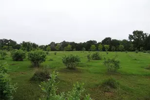 1603 Vz Cr 2908, Eustace, TX 75124 - Photo 38