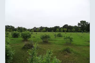 1603 Vz Cr 2908, Eustace, TX 75124 - Photo 38