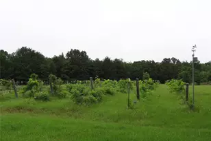 1603 Vz Cr 2908, Eustace, TX 75124 - Photo 20