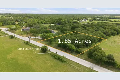 1999 Sunflower Road, Paradise, TX 76073 - Photo 1