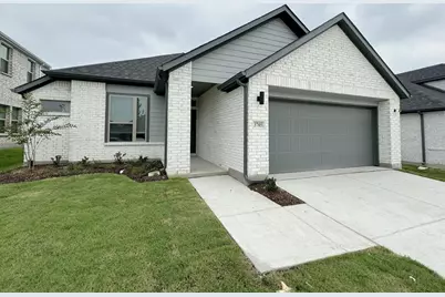 3705 Ray Roberts Drive, Farmersville, TX 75442 - Photo 2