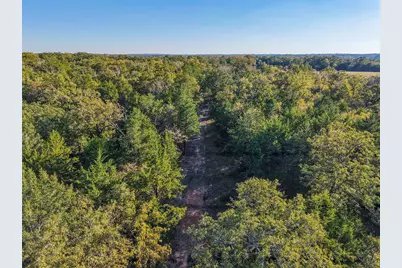 45 Acres County Road 930, Teague, TX 75860 - Photo 22