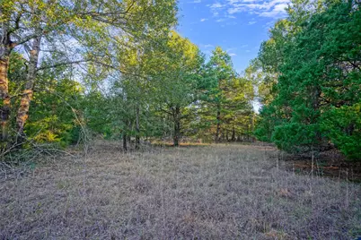 45 Acres County Road 930, Teague, TX 75860 - Photo 28