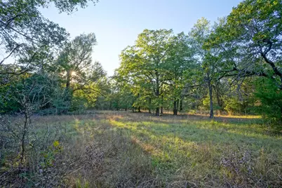 45 Acres County Road 930, Teague, TX 75860 - Photo 8