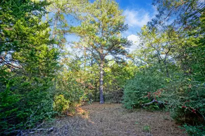45 Acres County Road 930, Teague, TX 75860 - Photo 26