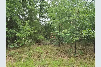 Lot 1007 Kickapoo Trail, Mabank, TX 75156 - Photo 1