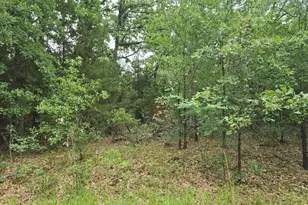 Lot 1007 Kickapoo Trail, Mabank, TX 75156 - Photo 1