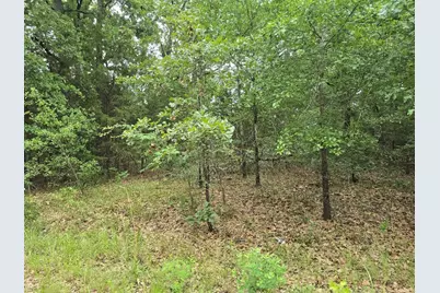 Lot 1007 Kickapoo Trail, Mabank, TX 75156 - Photo 4