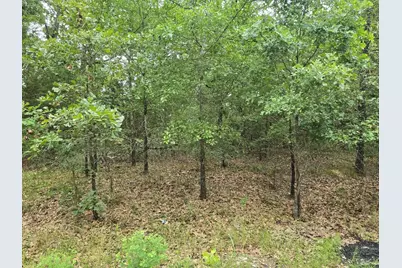 Lot 1007 Kickapoo Trail, Mabank, TX 75156 - Photo 12