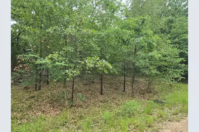 Lot 1007 Kickapoo Trail, Mabank, TX 75156 - Photo 2