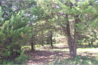 21.543 Acres W Fm 120 Highway, Pottsboro, TX 75076 - Photo 16