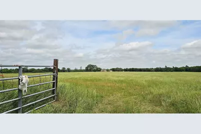 2260 Fm 16, Canton, TX 75103 - Photo 6
