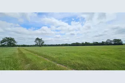 2260 Fm 16, Canton, TX 75103 - Photo 16