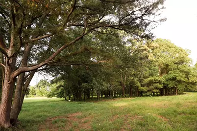 213 County Road 2320, Telephone, TX 75488 - Photo 36