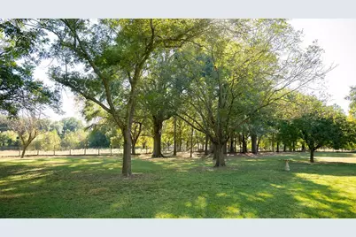 213 County Road 2320, Telephone, TX 75488 - Photo 20