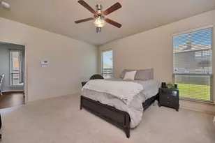 545 Wild Ivy Trail, Fort Worth, TX 76052 - Photo 16