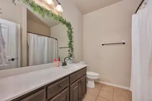 545 Wild Ivy Trail, Fort Worth, TX 76052 - Photo 30