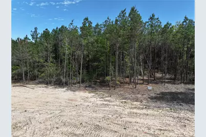 475 Cherokee Trail, Lovelady, TX 75851 - Photo 10